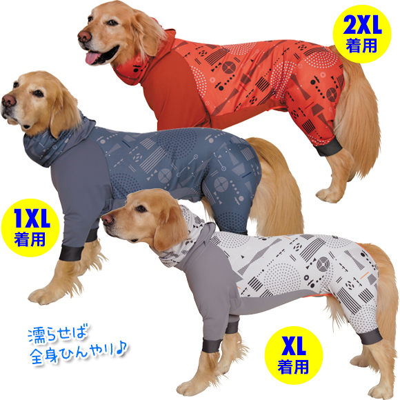 アルファアイコン》ドッグガードクール（2024）