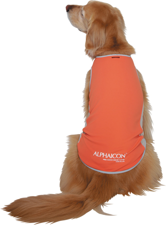 アルファアイコン》サマークーリングタンクトップ（2024）