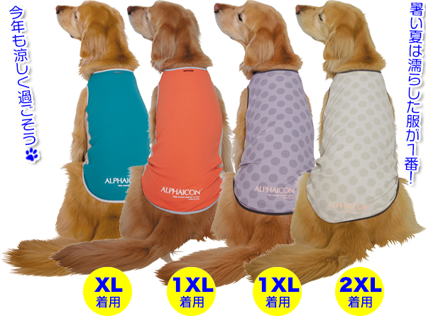 アルファアイコン》サマークーリングタンクトップ（2024）