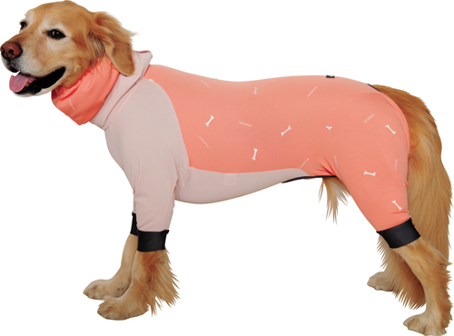 アルファアイコン》ドッグガードクール（2025）