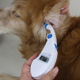 犬用体温計｜耳で計る電子体温計 Pet-Temp（PT-300）