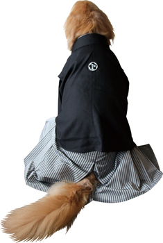羽織袴・紋付き袴（大型犬用）