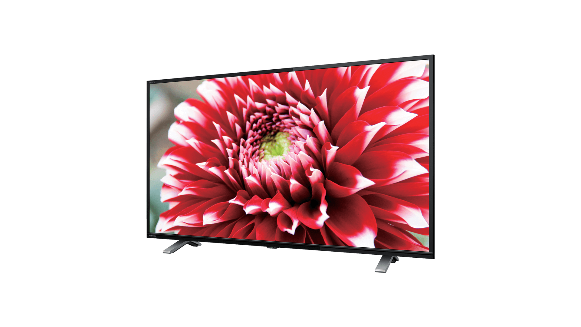 TOSHIBA 液晶テレビ REGZA 32V34 2022年製 TOSHIBA（東芝） REGZA 32V34 32V型 ハイビジョンLED液晶テレビ : D