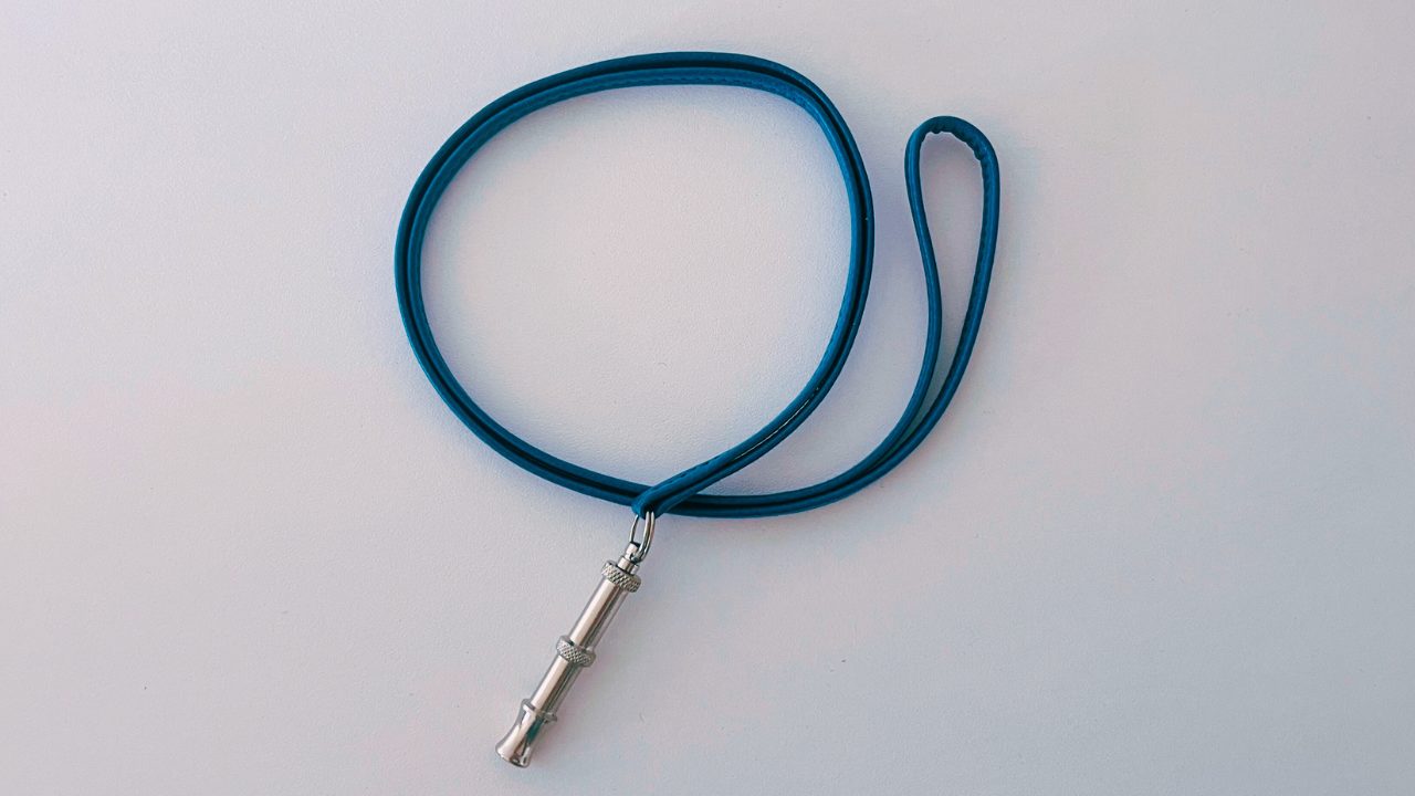 エルメスネックレス犬笛ライトブルー HERMES 超音波ホイッスル シフレ