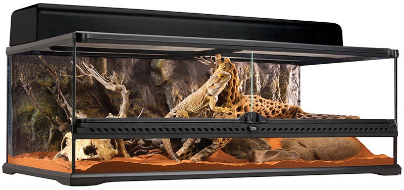 レイアウト用品 EXO TERRA NATURAL TERRARIUM 6030 レイアウト用品 EXO