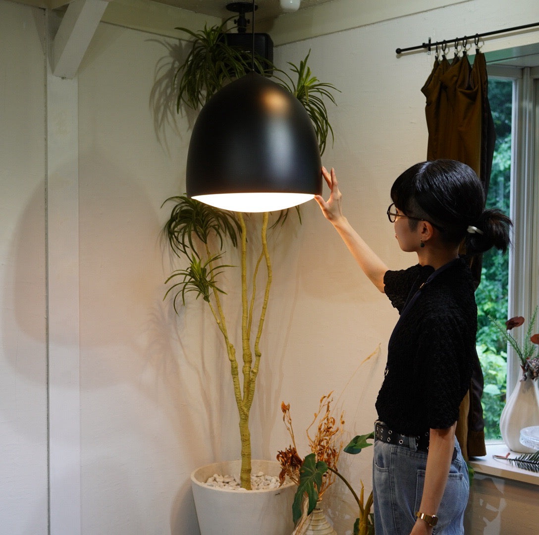 フリッツハンセン / FRITZ HANSEN サスペンス / SUSPENCE P2 ライト