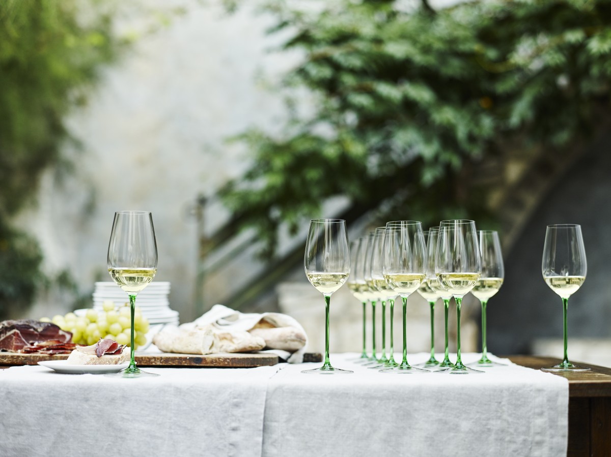 珍品】モロニド・バーナ（1オス、マダガスカル産） 【公式通販】