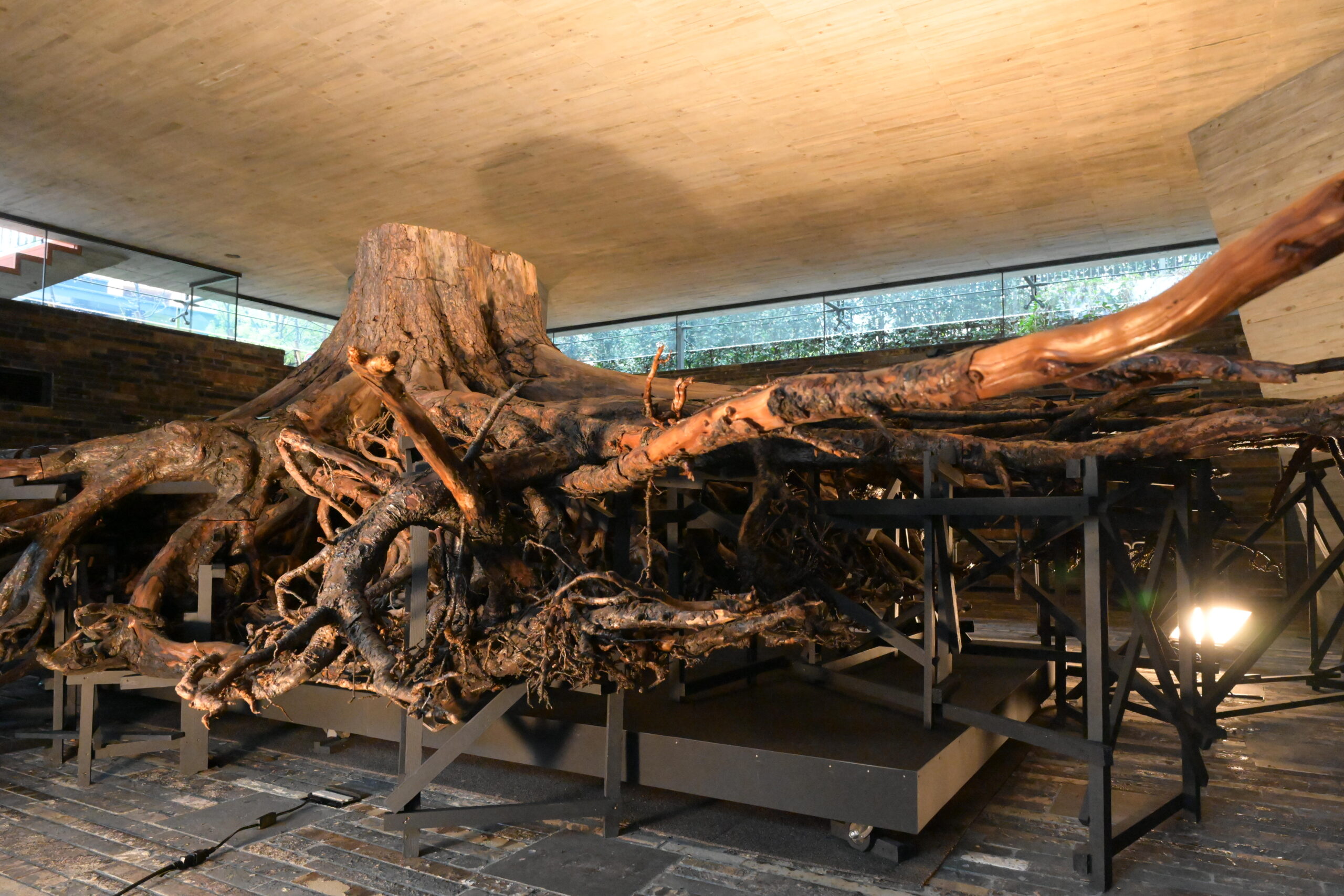 奇跡の一本松の根」展が終了しました | 一般社団法人倫理研究所一般