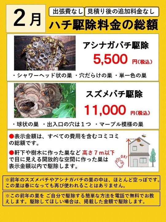 郡山市でスズメバチ駆除- ツバキに大きな蜂の巣！自分で駆除しようと