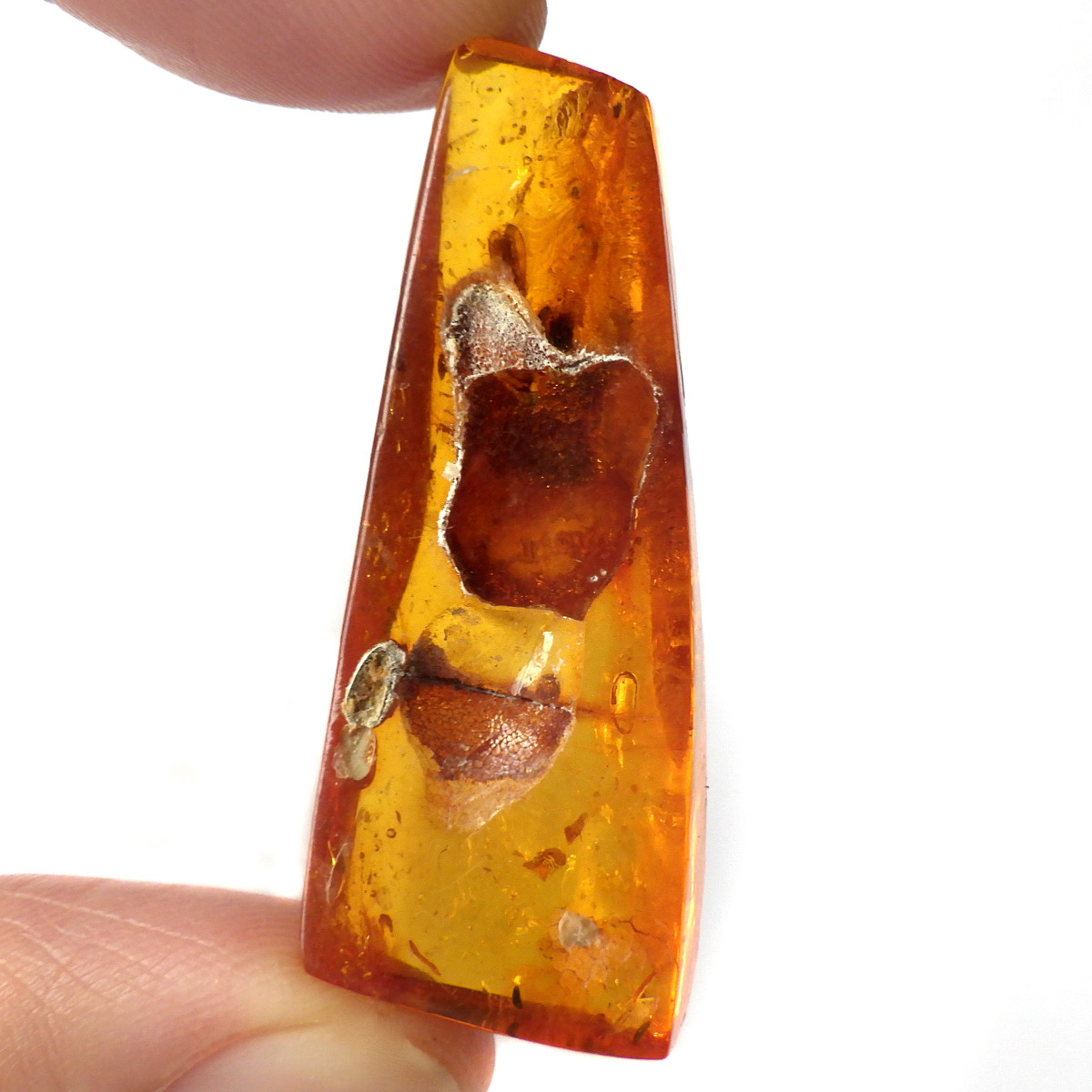 岡山のパワーストーン、風水・開運グッズのお店 龍祥本舗 / 虫入り