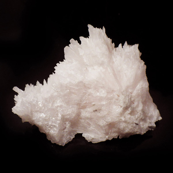 岡山のパワーストーン、風水・開運グッズのお店 龍祥本舗 / ピンクカル