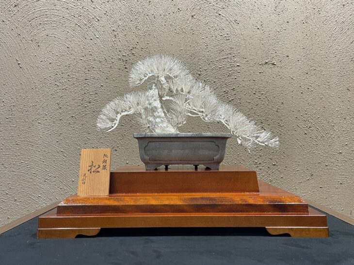 夢工房】純銀生秀館製長養斎造松竹梅彫銚子一雙