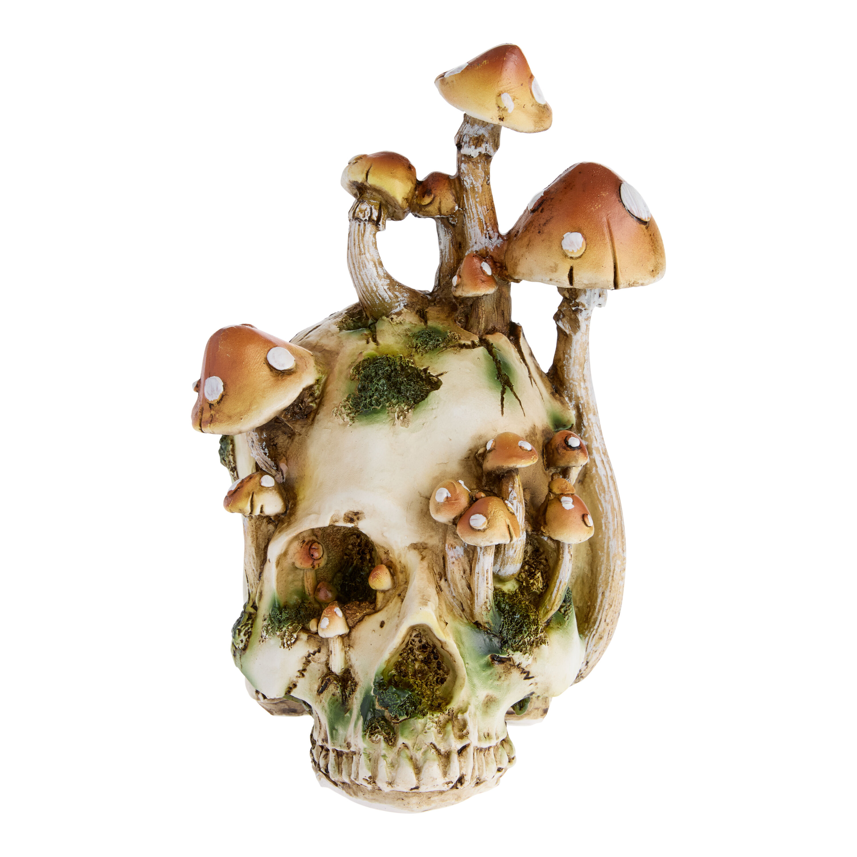 Mossy Mushroom Skull Decor - World Market