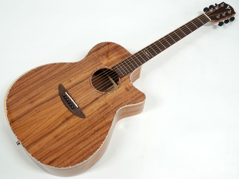 DCT GR-747KCE エレアコ アコースティックギター 特価品 送料無料! 30