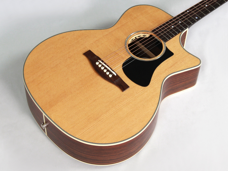 EASTMAN イーストマン PCH2-GACE Thermo-Cure Natural