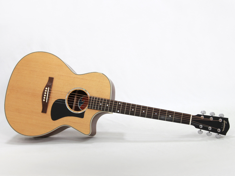 EASTMAN イーストマン PCH2-GACE Thermo-Cure Natural