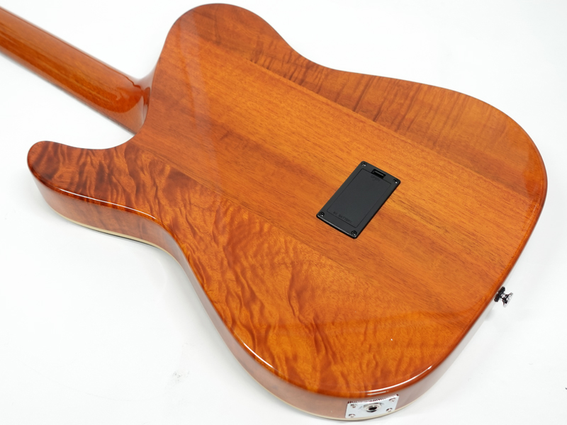 SCHECTER シェクター Oriental Line OL-FL / BLK < Used / 中古品