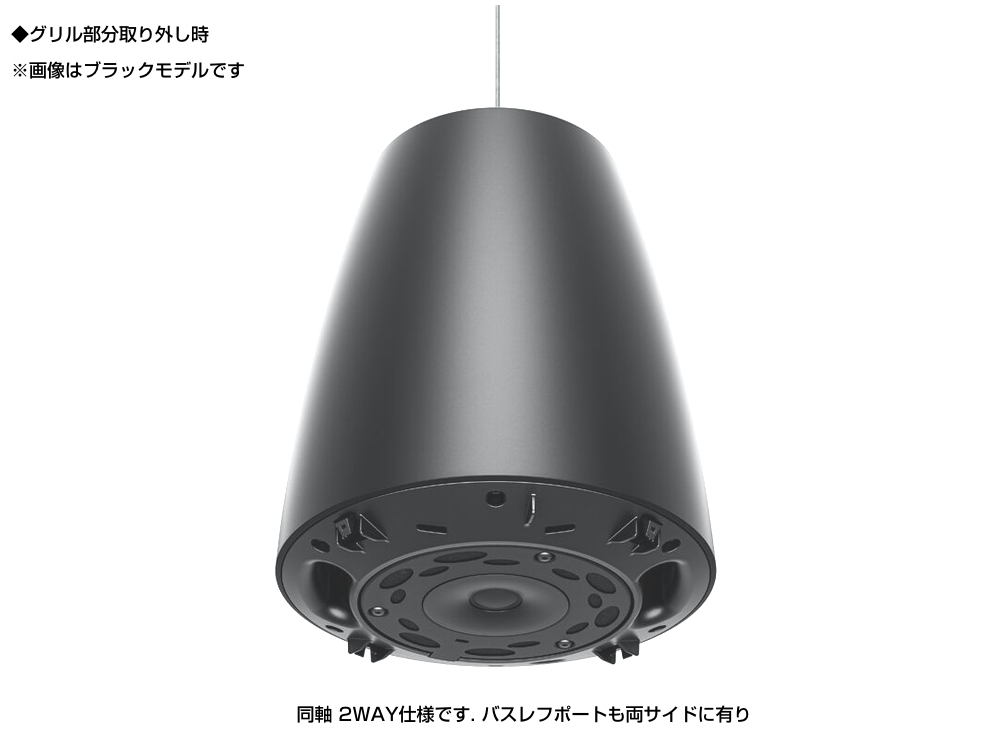 Bose ブラック スピーカー DM3P 1ペア ペンダント型 BOSE DesignMax