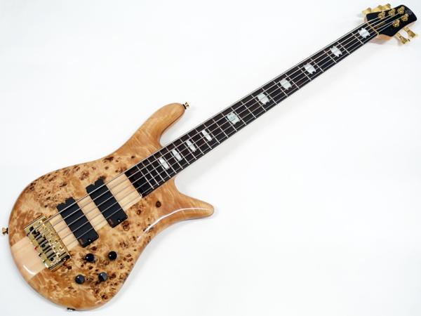 SPECTOR EURO 5 LX Poplar Burl Natural Gloss 【ヨーロッパ製