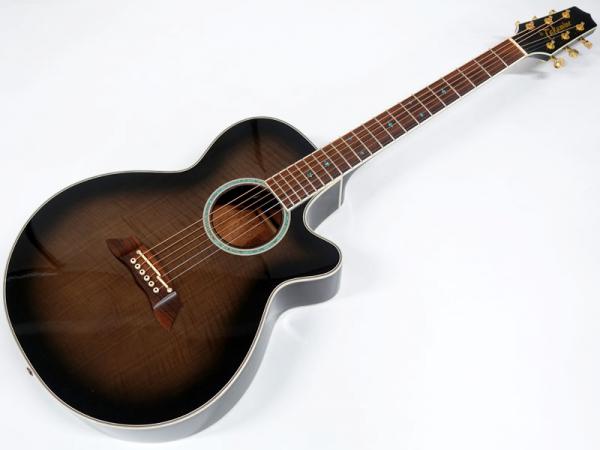 Takamine タカミネ PT-108 アコースティックギター エレアコ TAKAMINE(タカミネ) / PT-108 アコースティックギター/PT-108 | 中古品