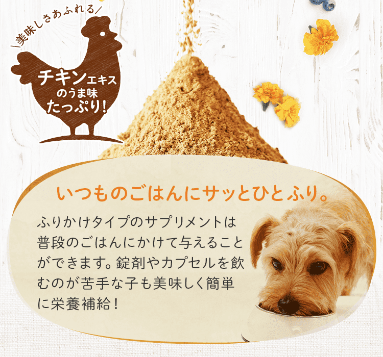 アイズワン 犬用サプリメント 30g 二袋セット アイズワン ドッグ