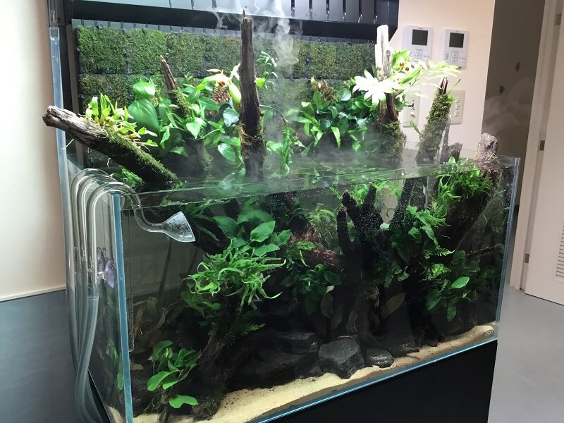 ADA DOOA ミストウォール セット MISTFLOW スタンド 水槽 水草 DOOA