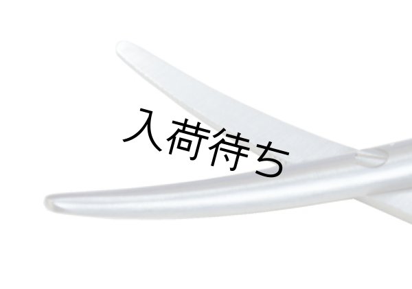 耳毛切りハサミ 【入荷未定】 - ワンクスオンラインショップ