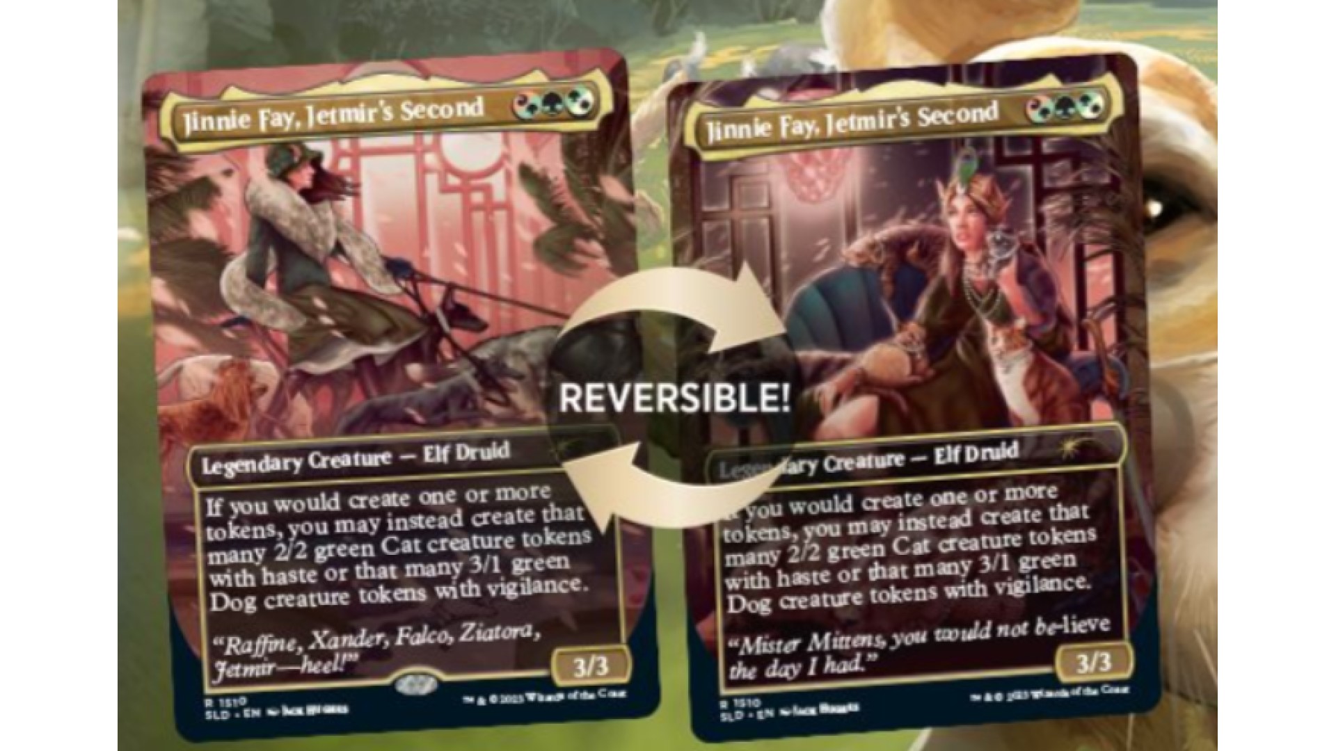 マジック：ザ・ギャザリング mtg Secret Lair :Raining Cats and Dogs