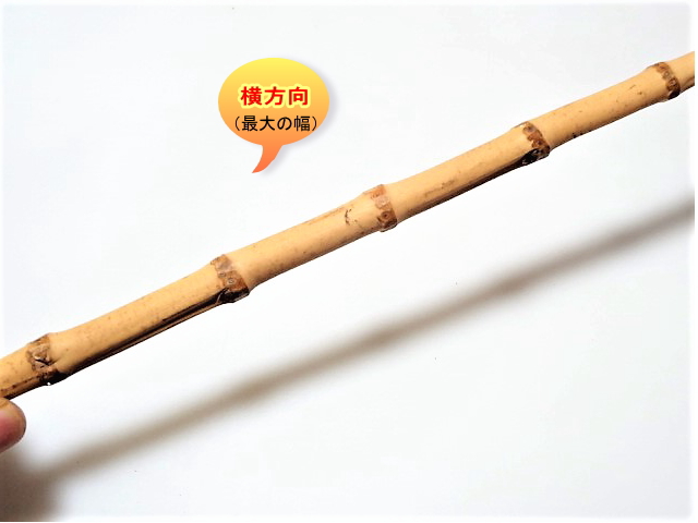竹の根っこ各種サイズ火入れ乾燥済！釣竿グリップ・工芸品の製作用