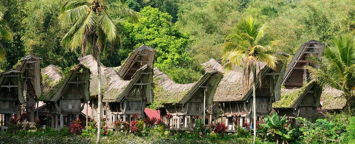 インドネシア スラウェシ島 トラジャ族のイカット5 インドネシア