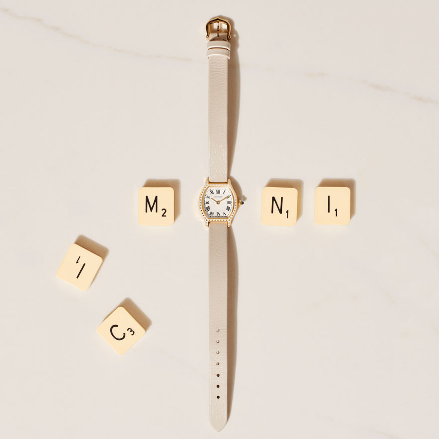 CARTIER ミニタンクルイ 純正ストラップ 2点 CARTIER ミニタンクルイ