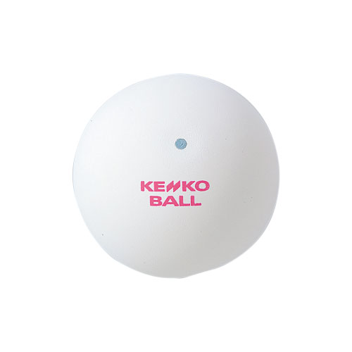 なおちゃんさん専用 値下げ KENKOテニスボール 2個入り 白 28袋 なお