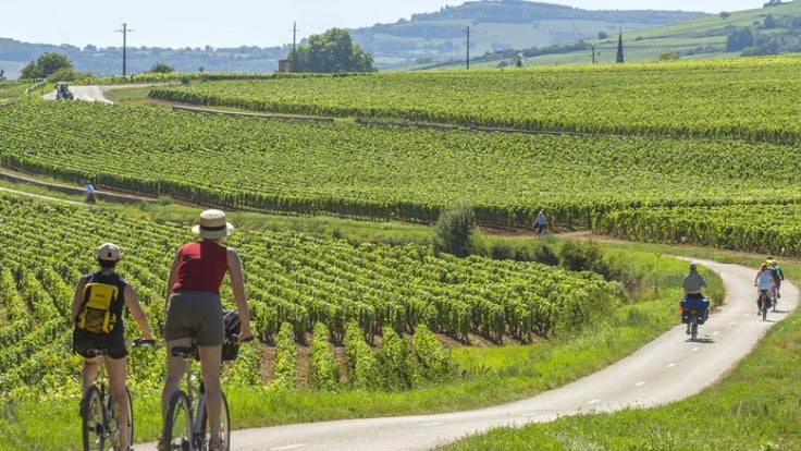 Macon-Villages, Burgundy - French Wine Region
