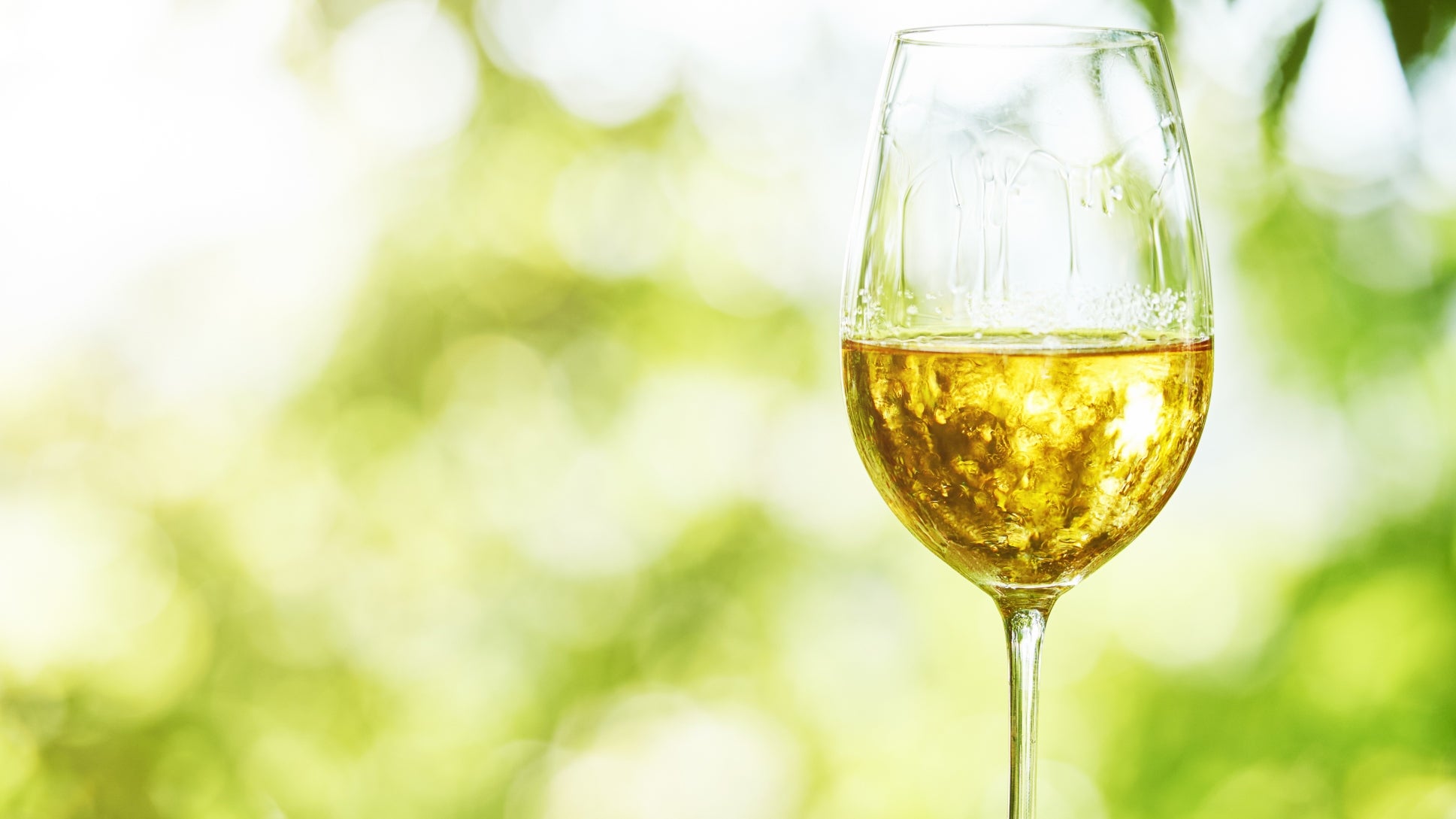 2022 Mongaku Valley Winery 'Haku', Japan | prices, reviews, stores