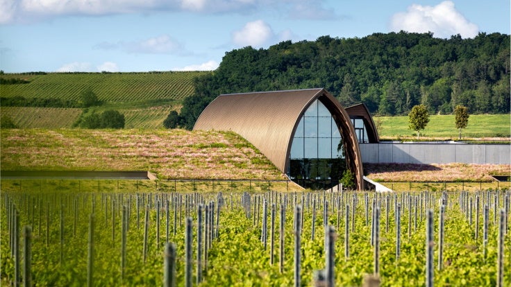 Château Angélus - wine estate in St-Émilion, Bordeaux