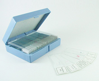 顕微鏡プレパラート生理30種昭和物