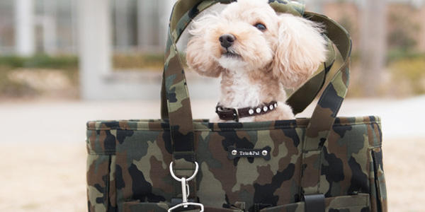 CARRY BAG（キャリーバッグ）／AWパラフィン：Toto & Pal