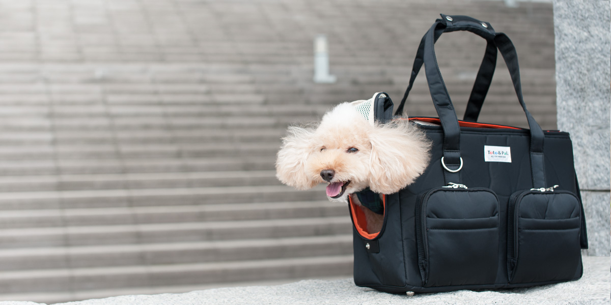 CARRY BAG（キャリーバッグ）／ライト：Toto & Pal（トトアンドパル