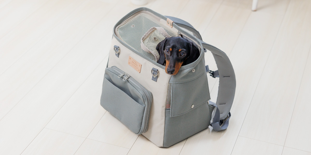 CARRY BAG（キャリーバッグ）／帆布リュックキャリー：Toto & Pal