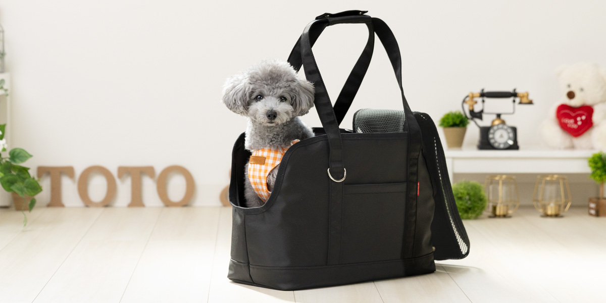 CARRY BAG（キャリーバッグ）／TOUGH：Toto & Pal（トトアンドパル