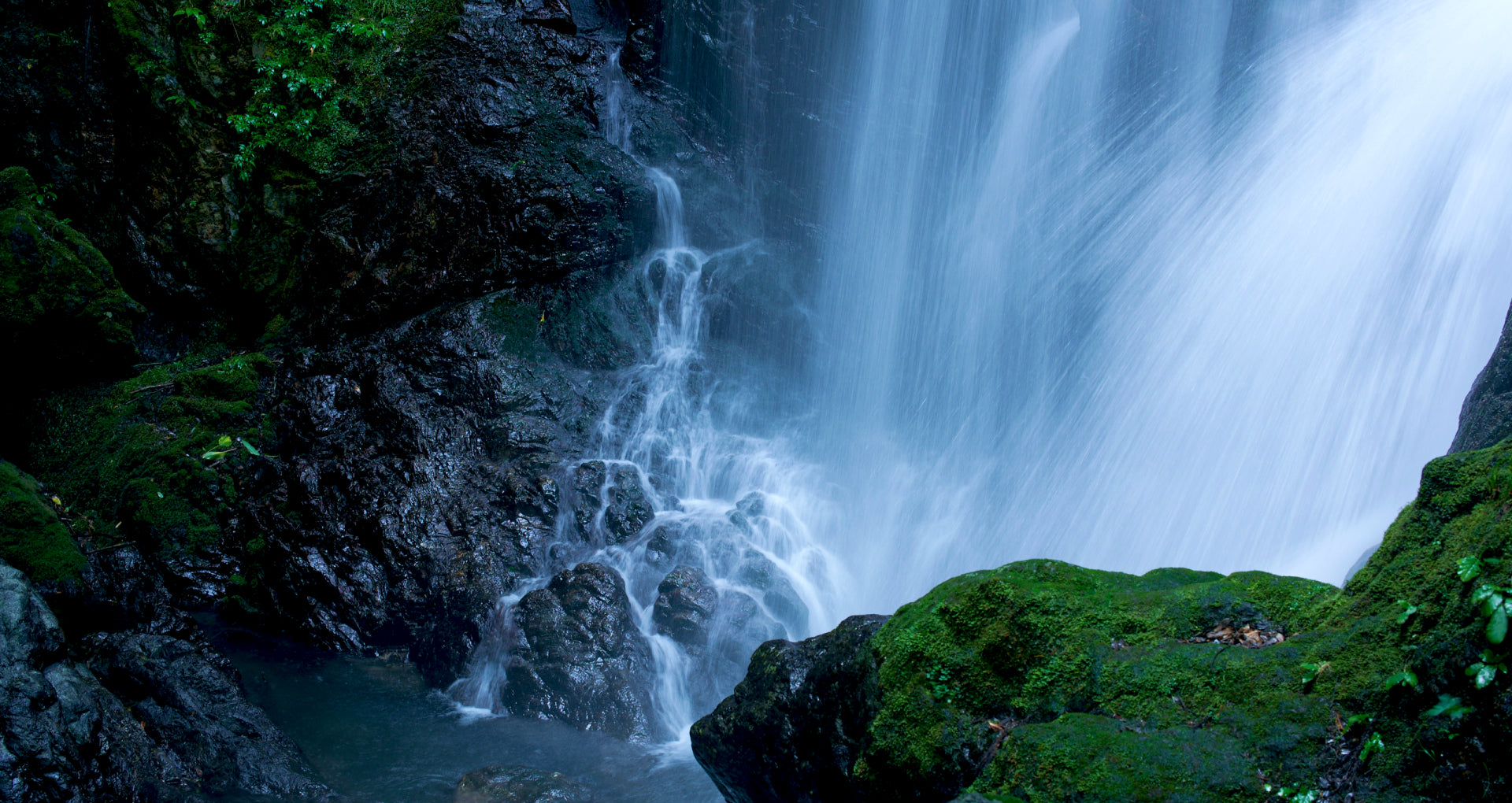 公式】徳島県上勝町観光サイト | ゼロ・ウェイスト宣言をした街