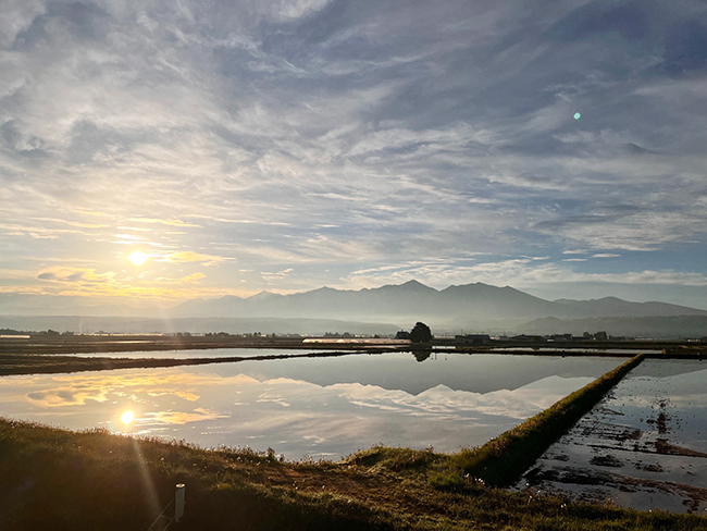 フォトトピックス【水に映った世界を覗いたことはありますか