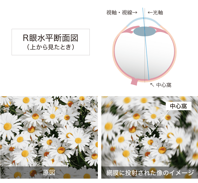 ベルーナHR | 商品情報 - メガネレンズメーカー 東海光学株式会社