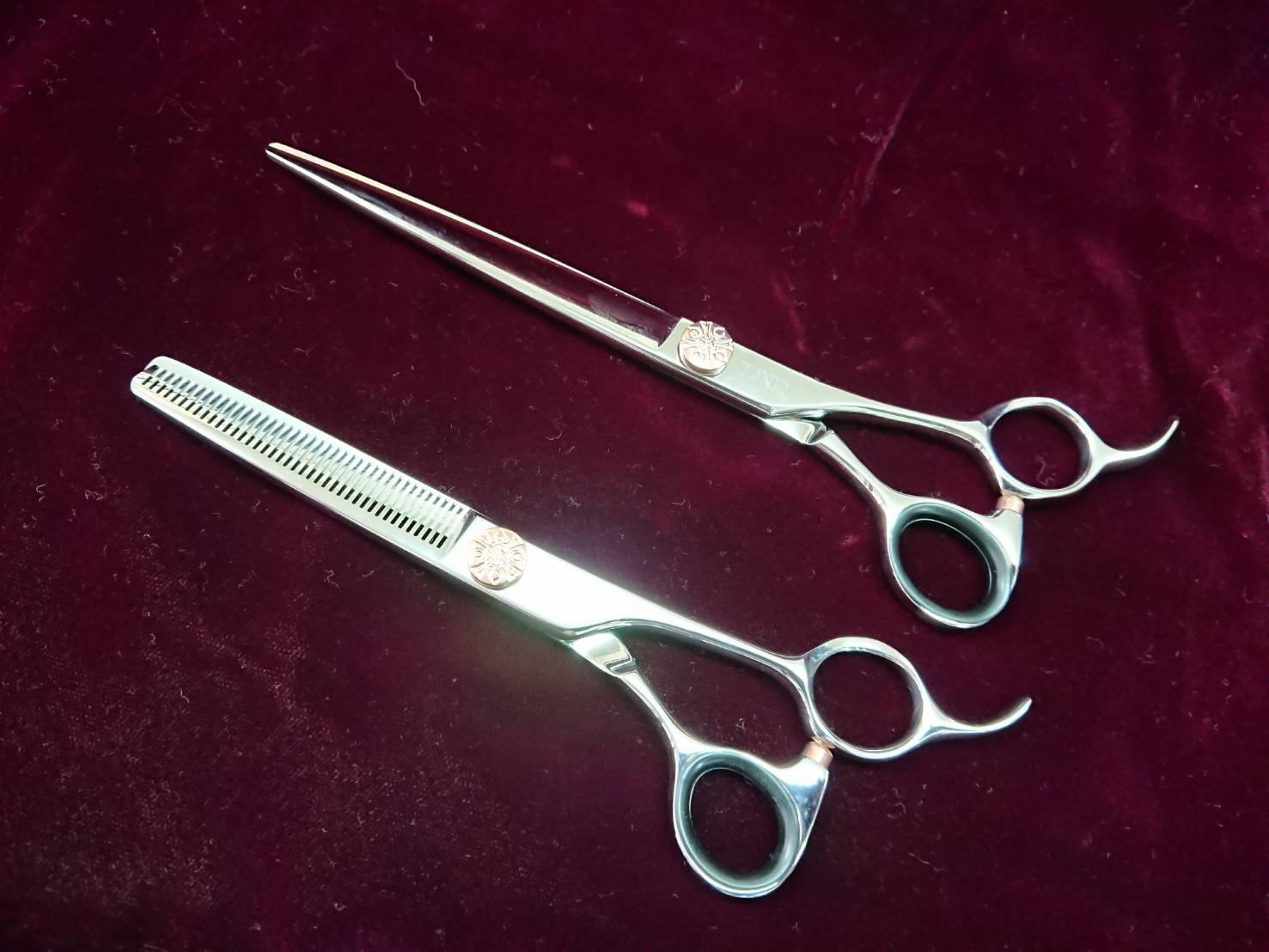 TOKIO ANDOH / TOPページ