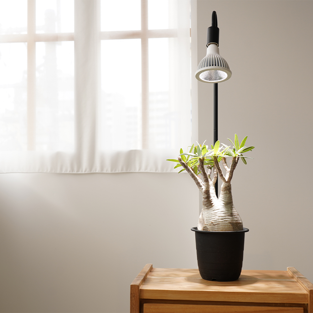 NEO TSUKUYOMI LED 20W | 多肉植物・特別な鉢の販売 | トーキー | TOKY