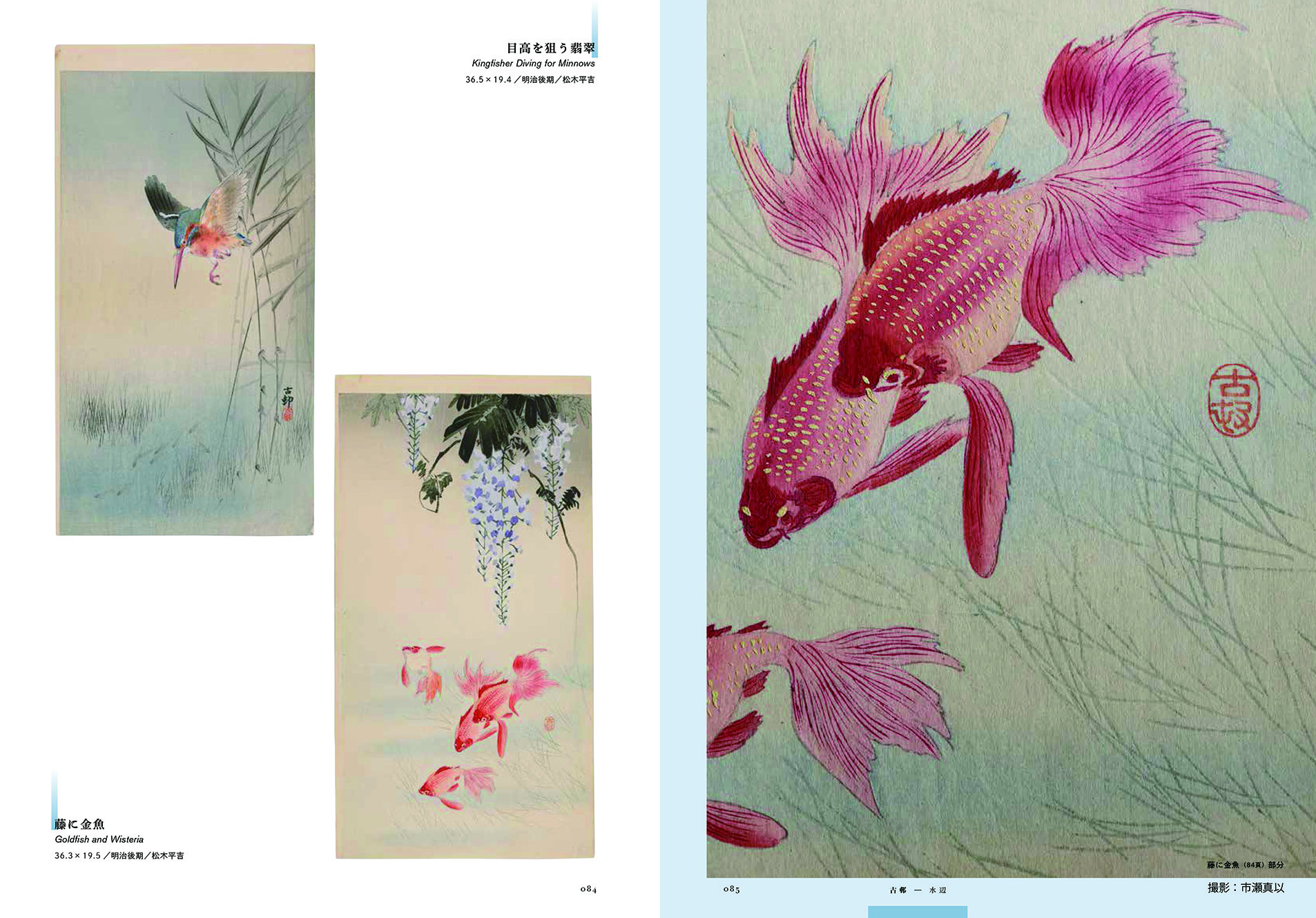 小原古邨「睡蓮に二匹の金魚」本物木版画 小原古邨「睡蓮