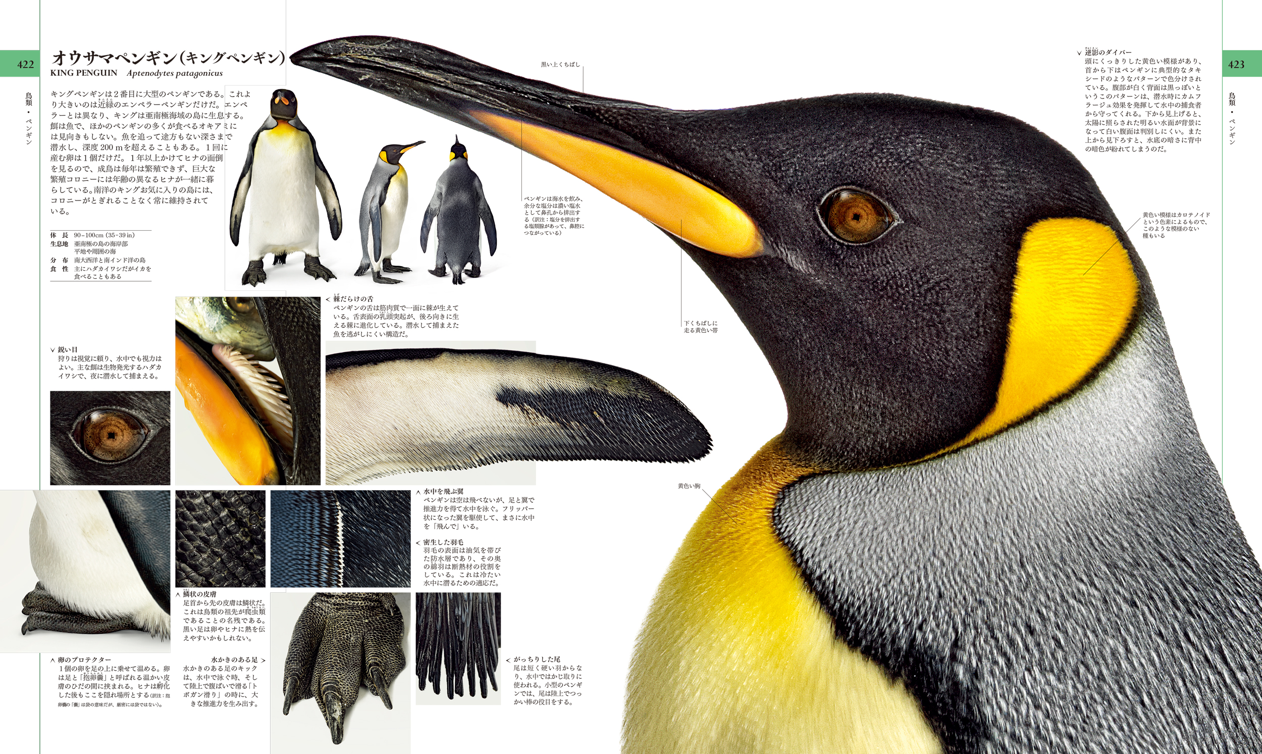 東京書籍】 一般書籍 自然科学 地球博物学大図鑑 新訂版