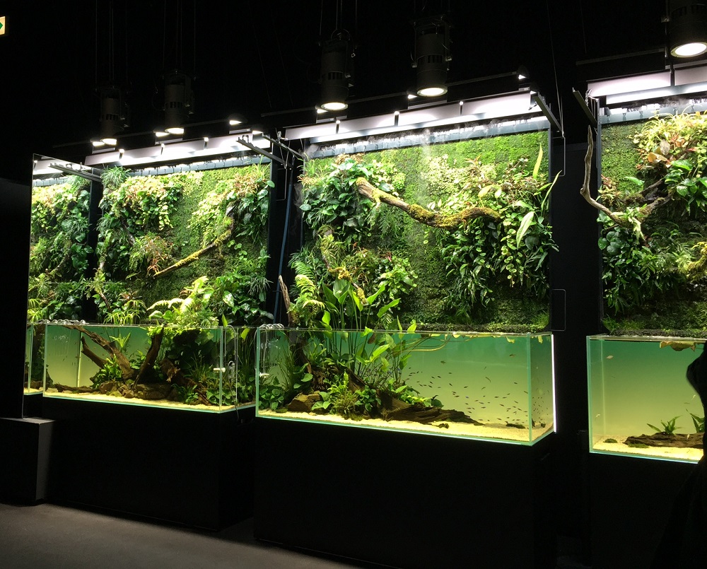 天野尚 作品集 ガラスの中の大自然 NATURE AQUARIUM WORKS 天野尚作品