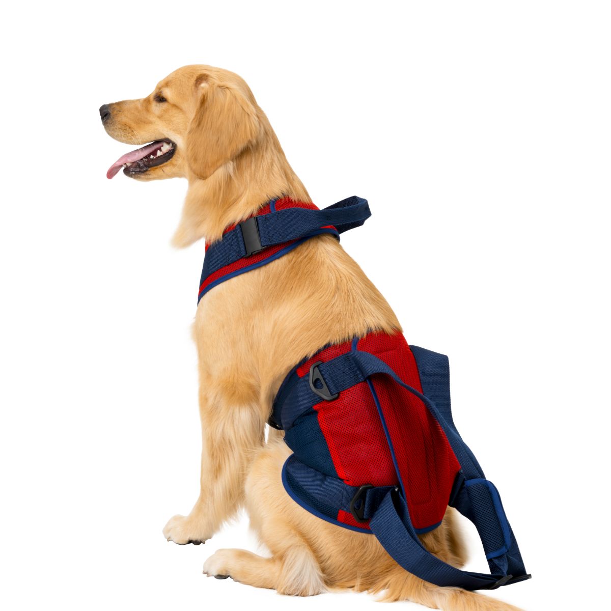 大型犬用 スカーレットメッシュ | 歩行補助ハーネス LaLaWalk