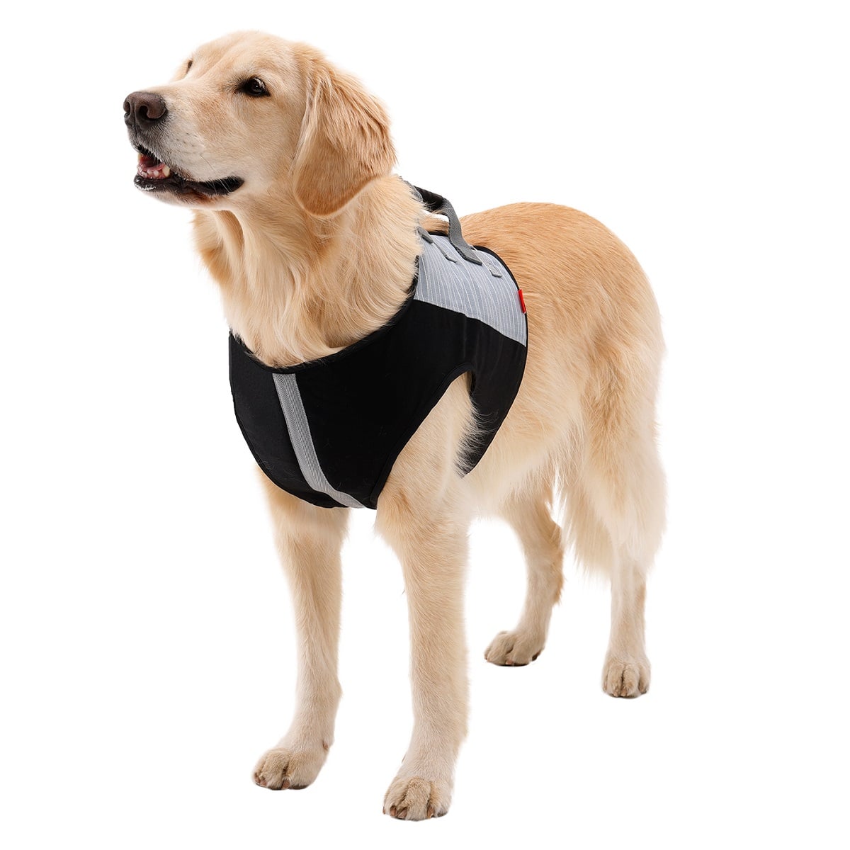 介助ベスト シックグレー | 歩行補助ハーネス LaLaWalk